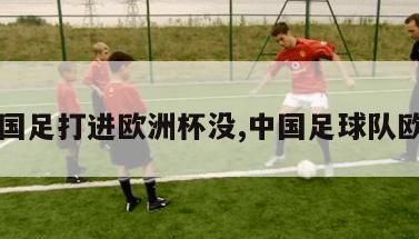 中国国足打进欧洲杯没,中国足球队欧洲杯